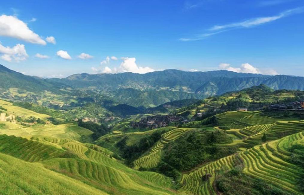 用手机扫下这个二维码：长沙康多多医药代购平台一站式便捷便民