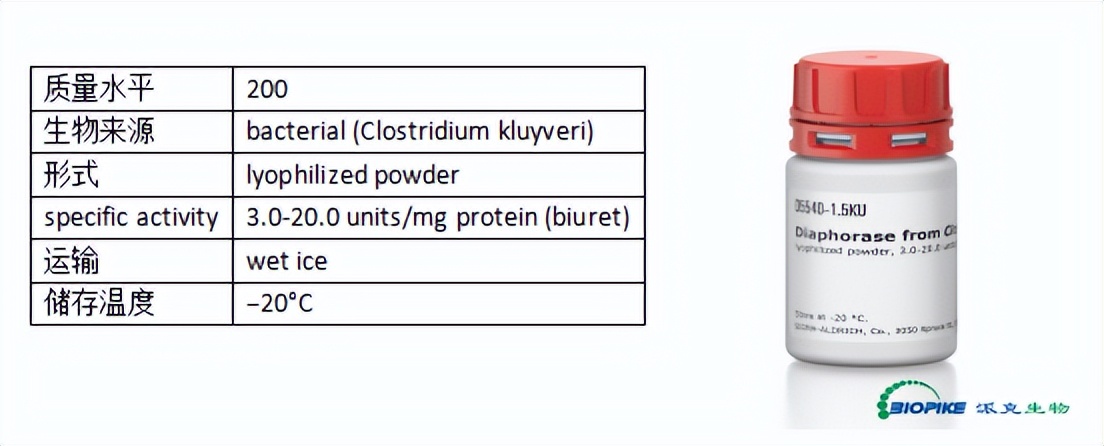 派克生物,派克生物科技