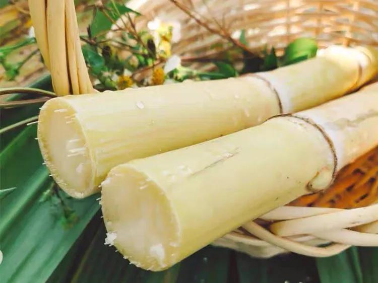 广西贵港著名的地方,广西贵港风情尽收眼底