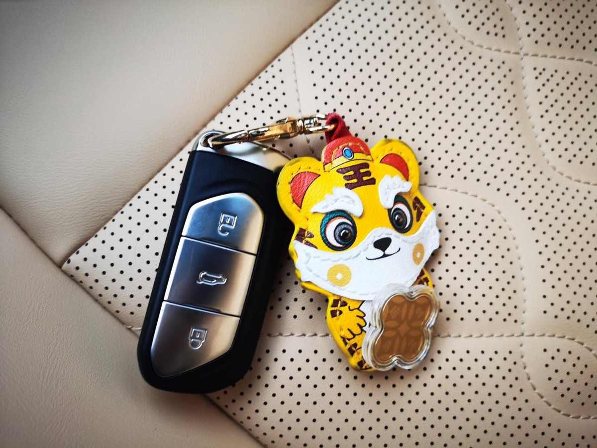 岚图FREE增程豪华版提车作业