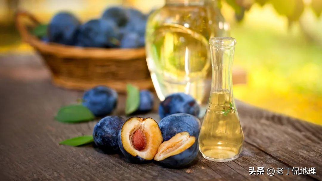 世界杯塞尔维亚球员分析32强巡礼,世界杯巡礼塞尔维亚队