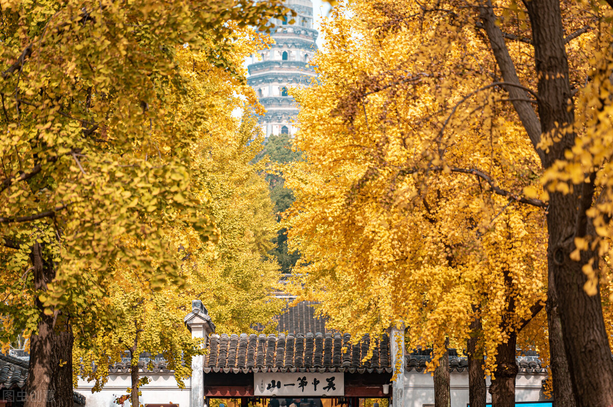 秋天的苏州必去的景点,苏州秋天小众景点推荐