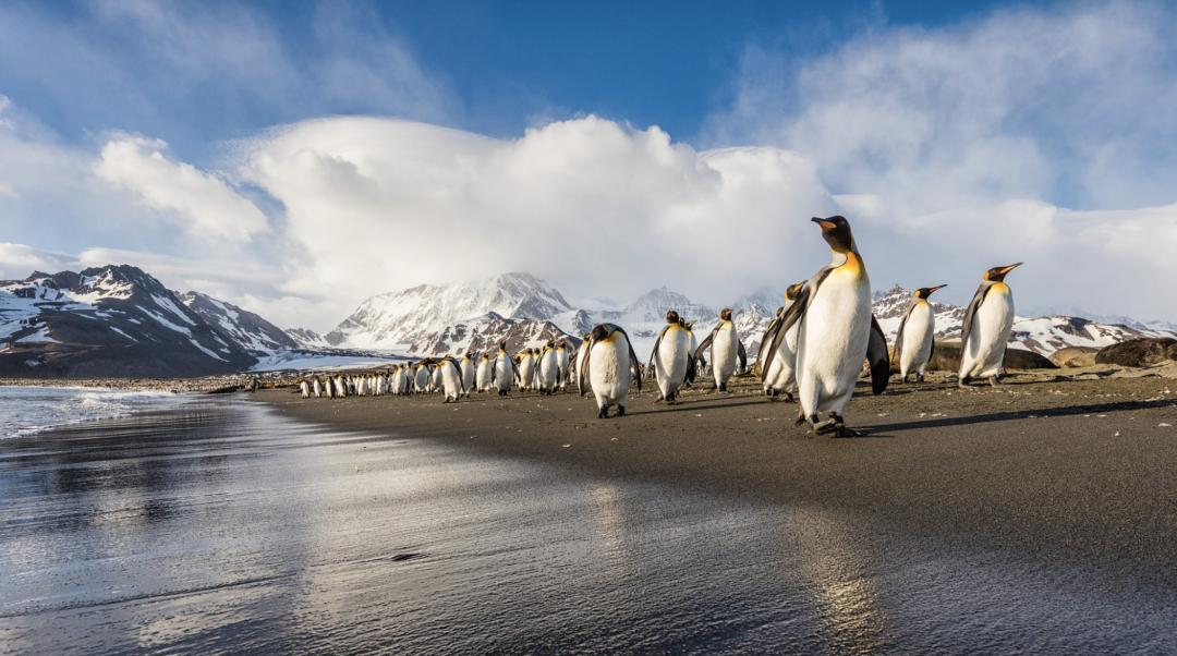 盘点阿根廷夺冠路,回顾阿根廷的夺冠之旅