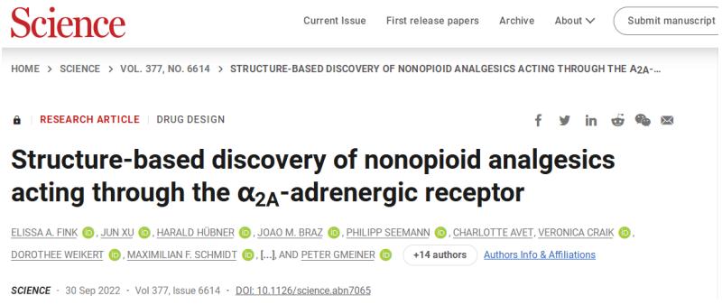 肾上腺素能受体激动剂专家共识,肾上腺素受体激动剂和拮抗剂