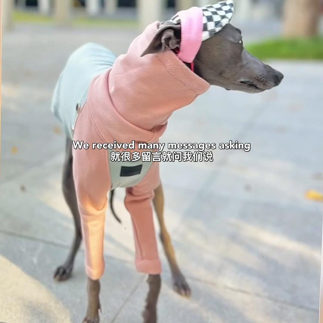 bonding设备,北欧女神攻略