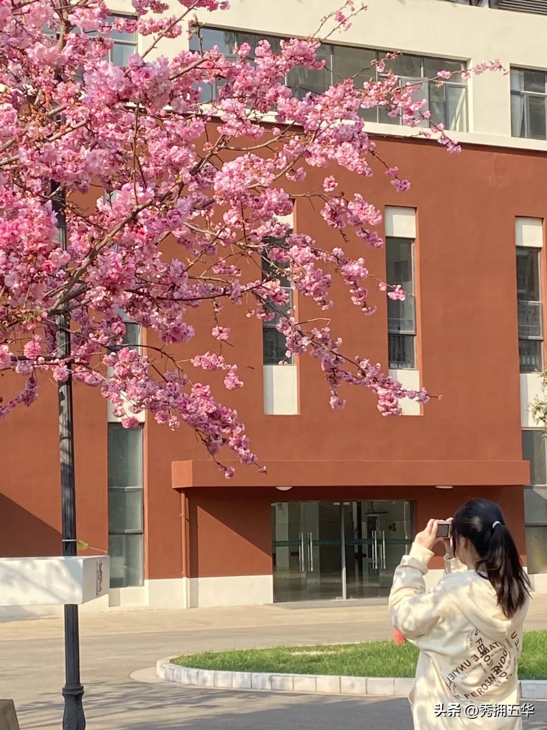 把春天装进校园里作文,把春天装进眼里