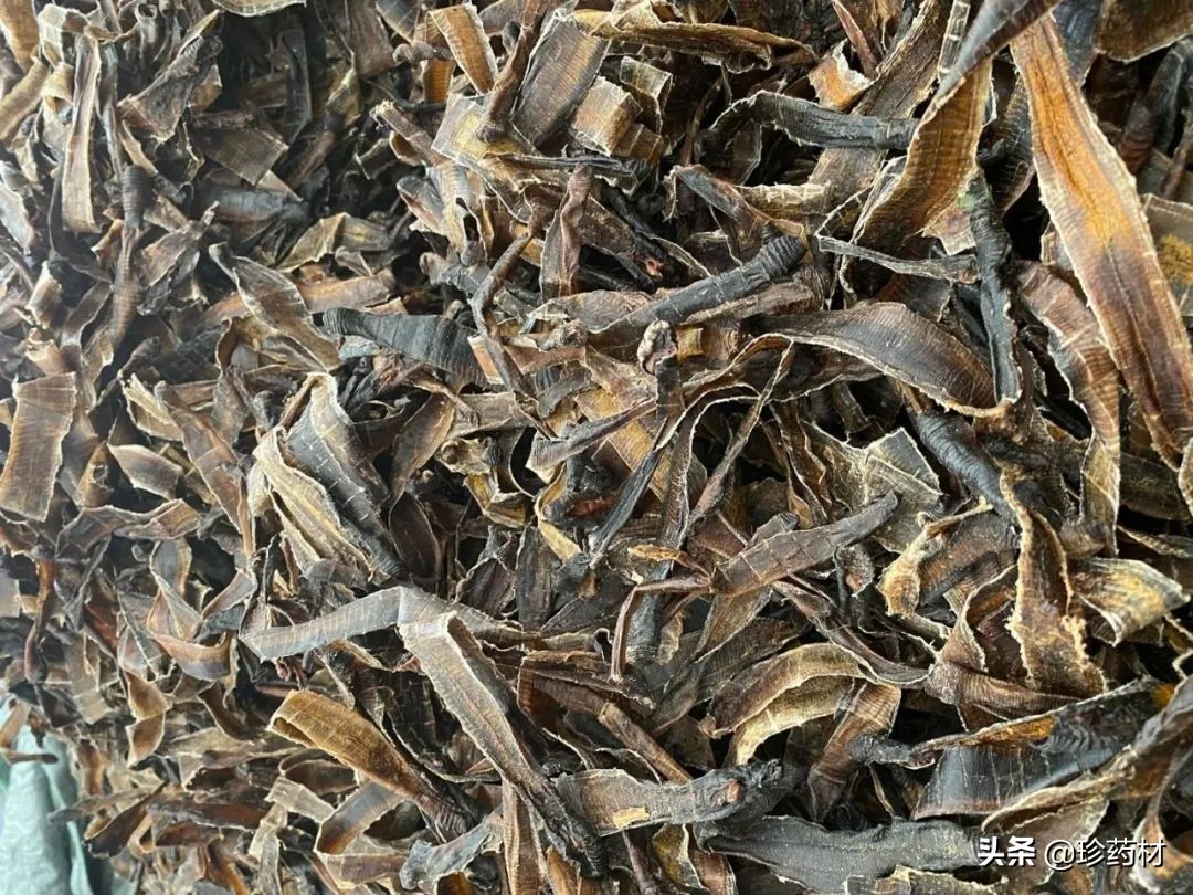 12月1日中药材市场快讯：干姜、金银花、栀子、水蛭、白及等