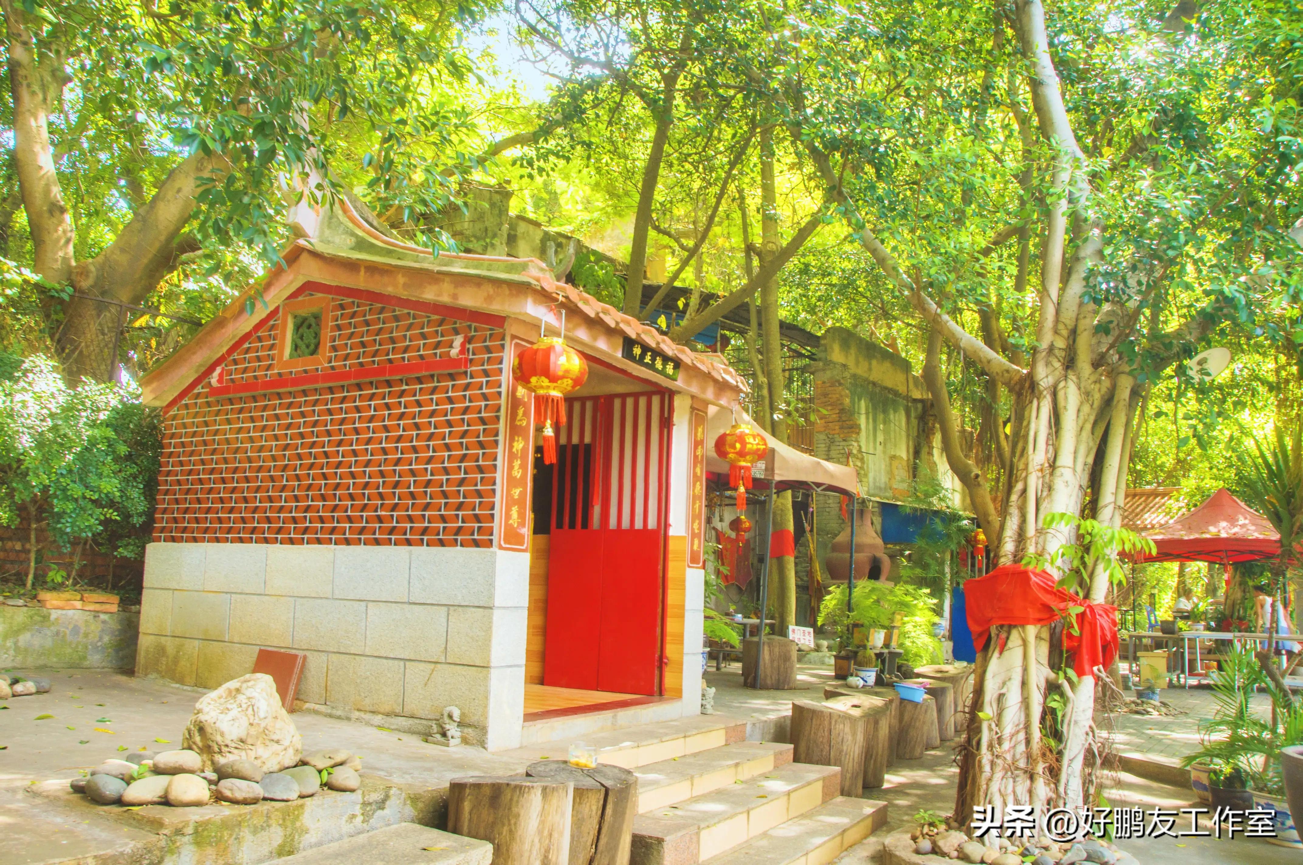 厦门同文顶不拆迁了,城市老城区如何发展