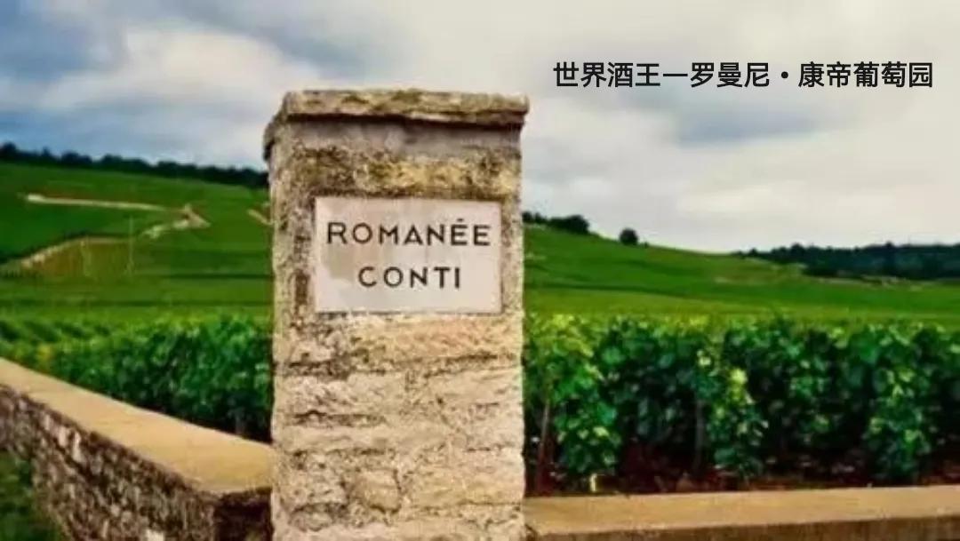 几百块的葡萄酒和几千块的葡萄酒,为什么几百元的葡萄酒好喝