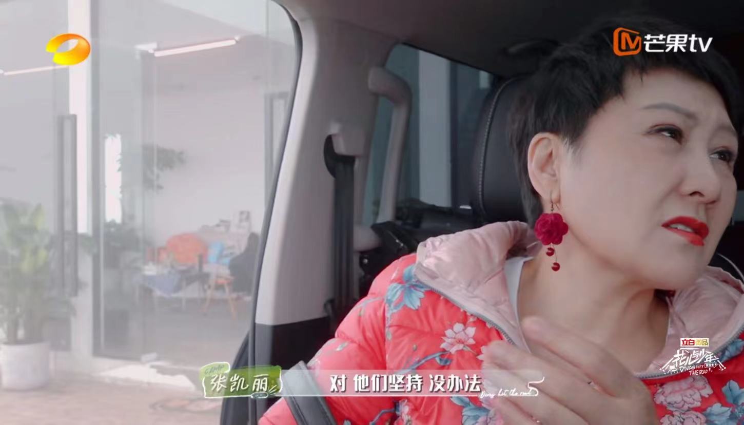 花儿与少年张凯丽刘敏涛,花儿与少年刘敏涛张凯丽玩游戏