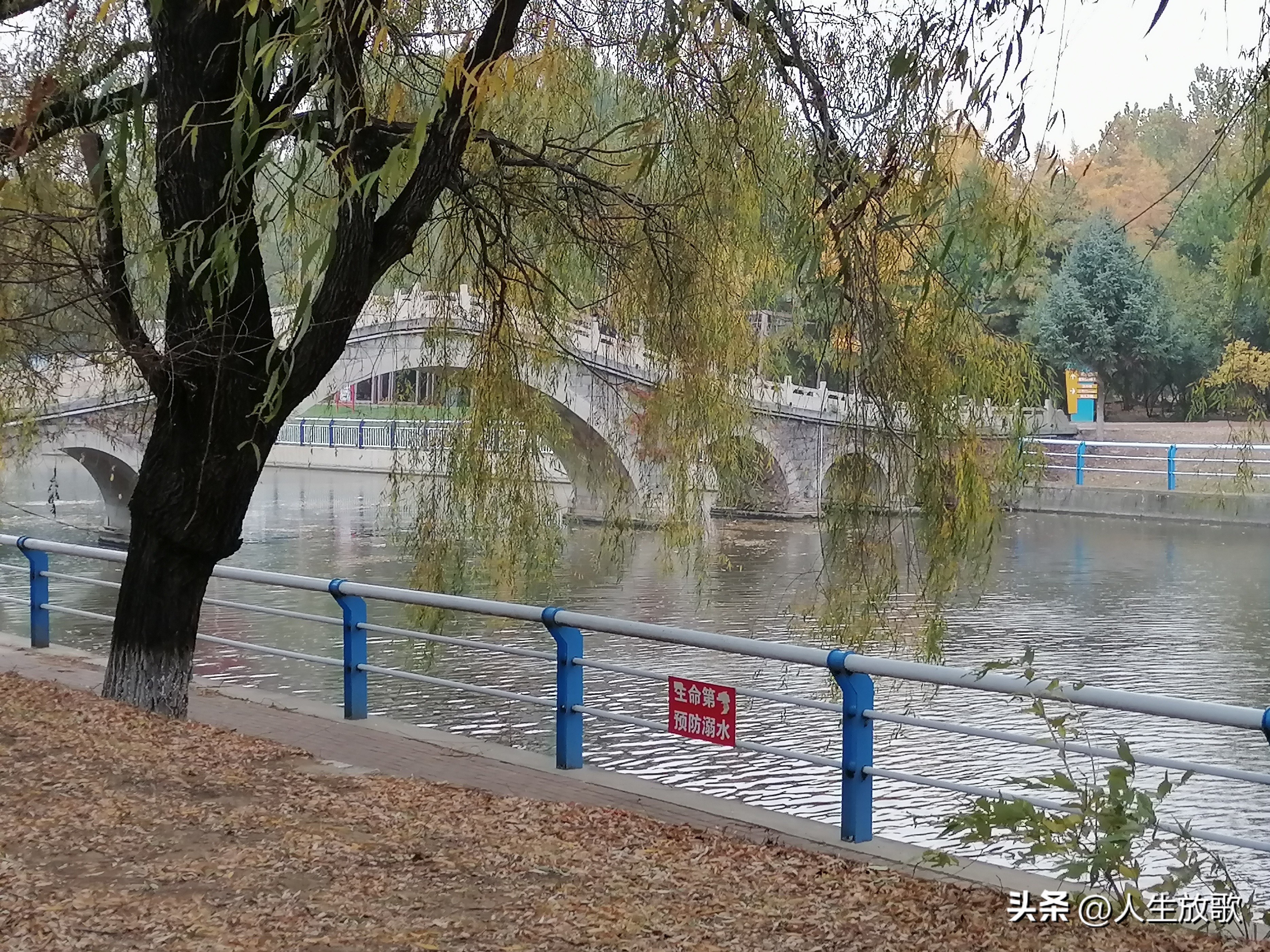 秋天里的思念原唱歌词,秋天里的思念女声版