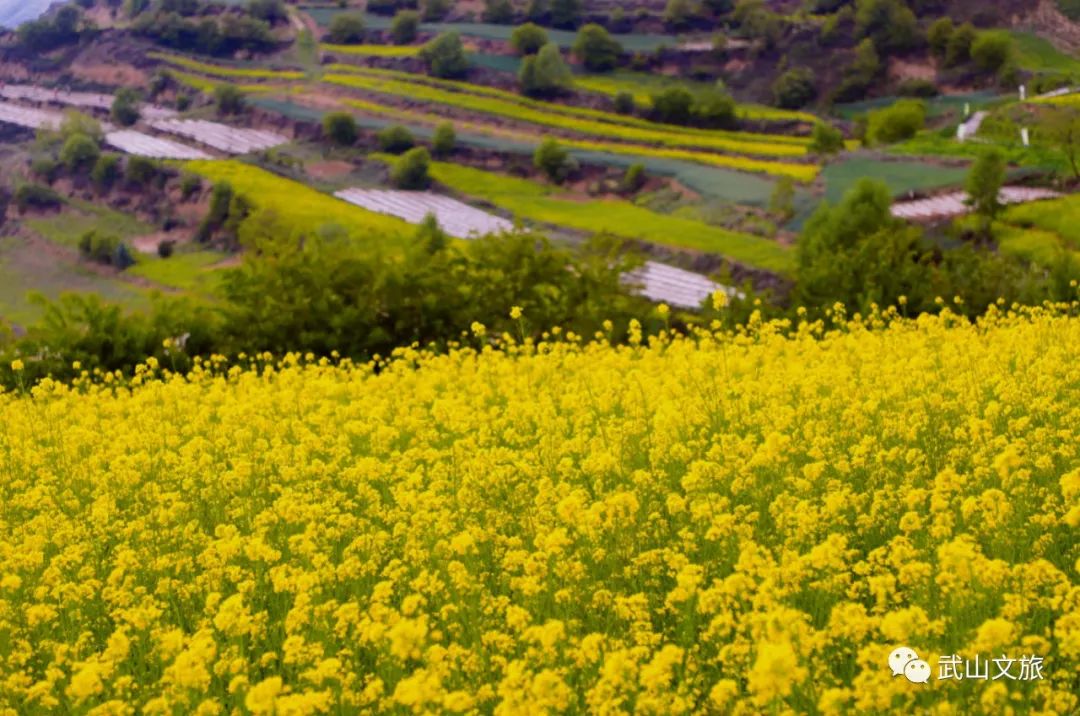 中国十大魅力之城——天水欢迎您来打卡千山万水就爱天水魅力五月打卡十有武山——,四马年村