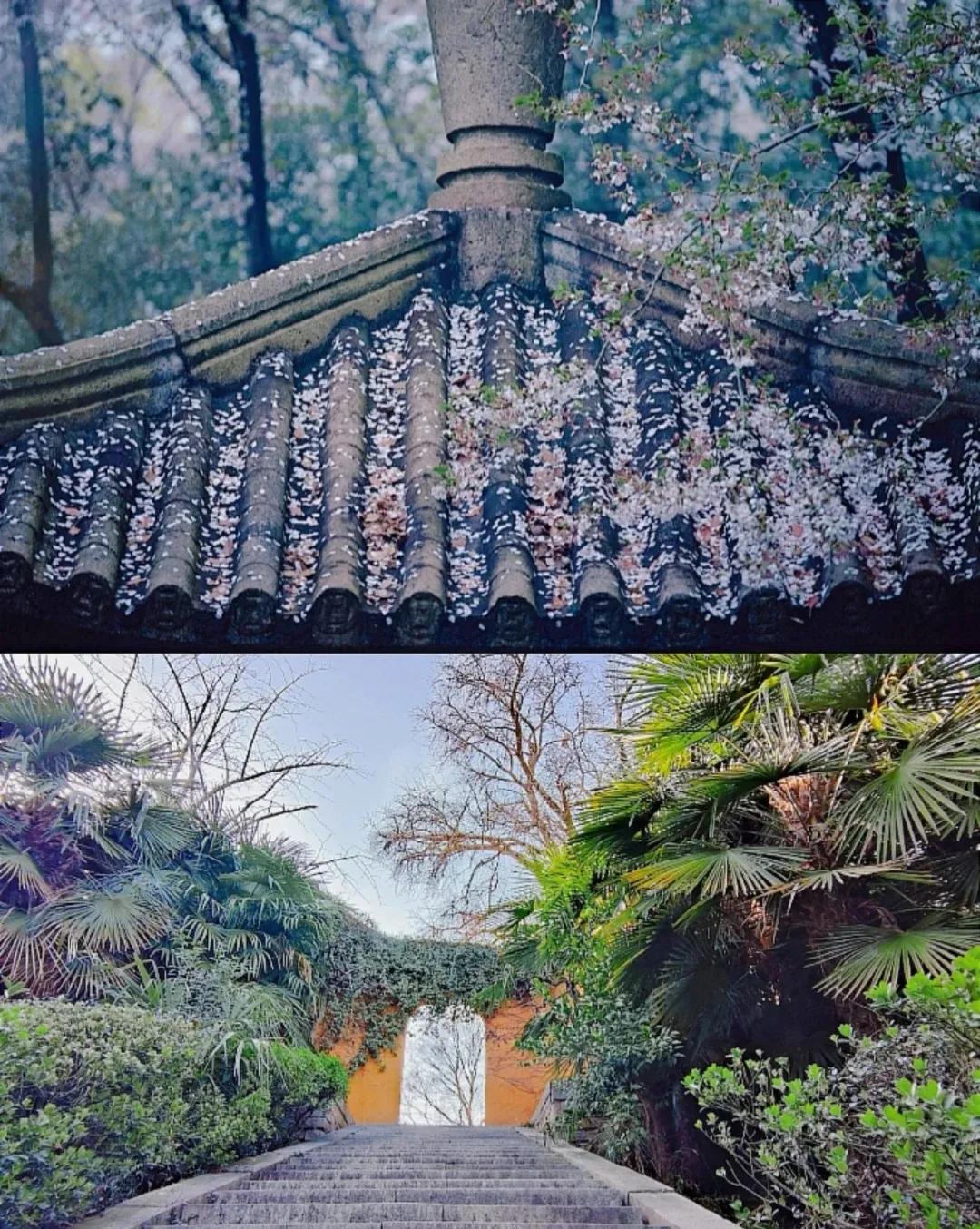 上方山森林公园,上方山森林公园免费门票