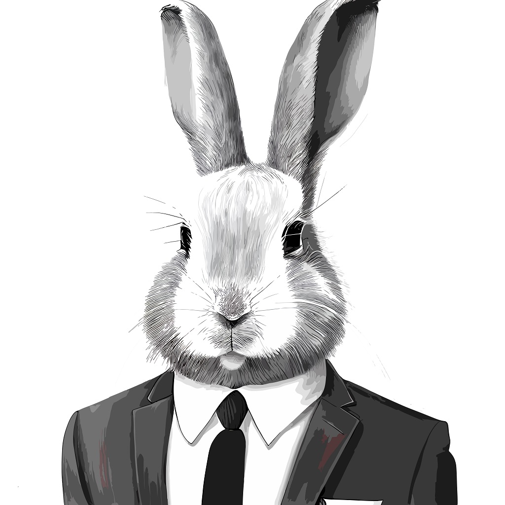 衣冠禽兽动物,衣冠禽兽的动物