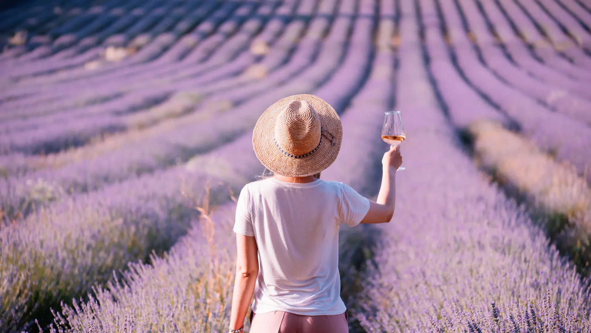 法国罗纳河谷产区葡萄酒,法国葡萄酒产区burgundy