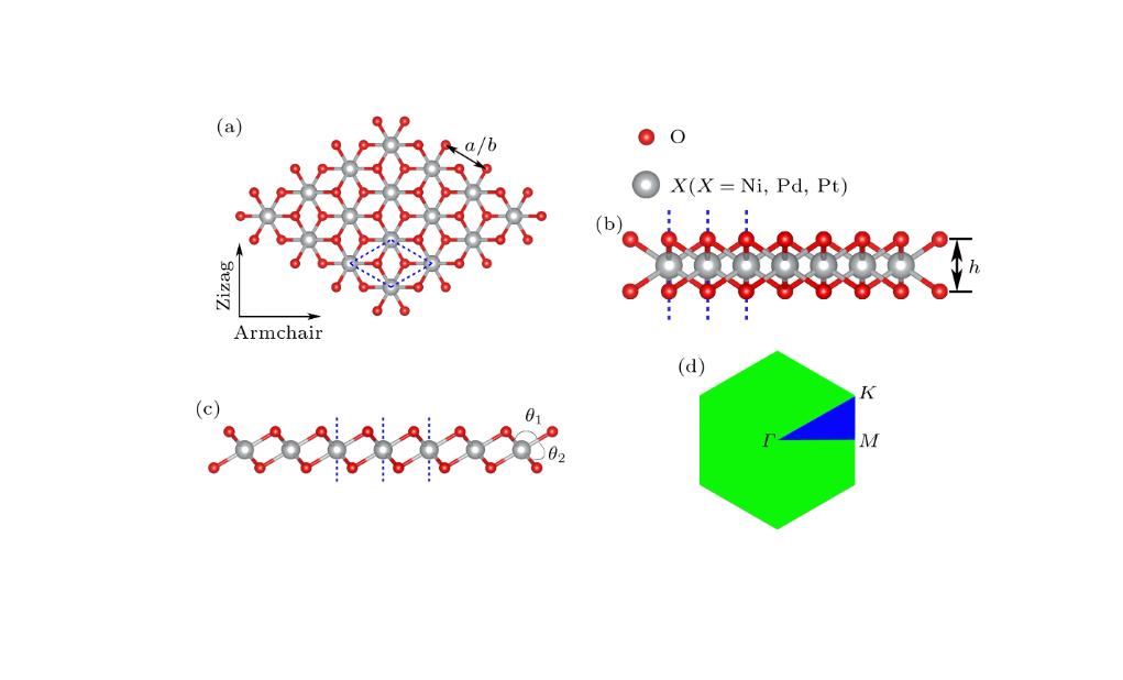 催化反应动力学模型,催化反应动力学推导