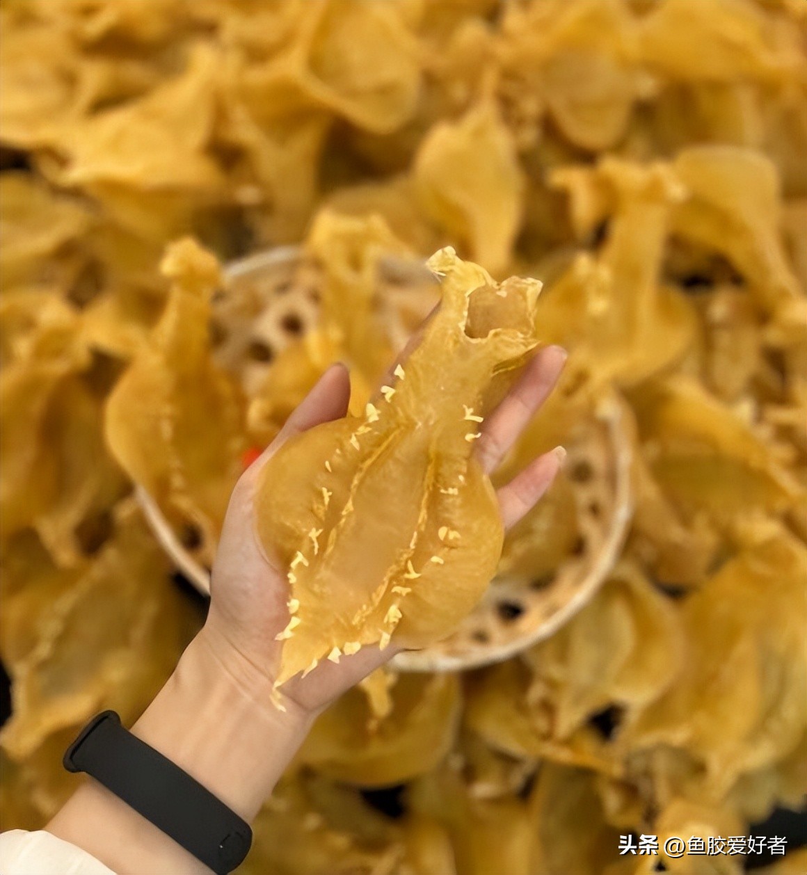 孕期吃鱼胶的正确方法,孕期可以吃鱼胶海参吗