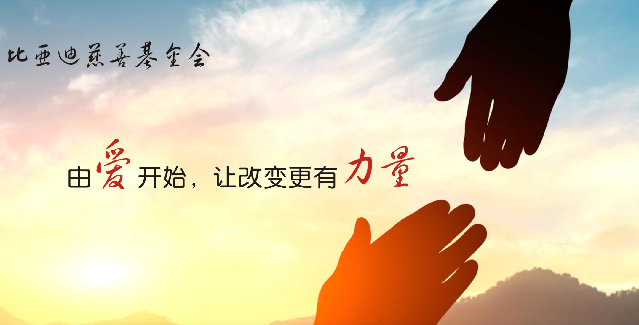 世界500强企业排行榜比亚迪,比亚迪上榜中国500强吗