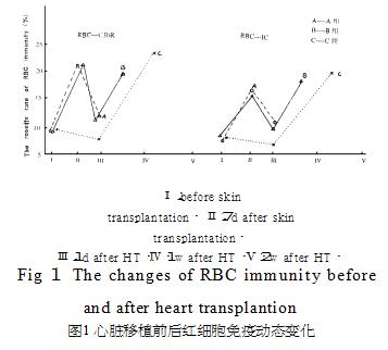 陈凡医生简历,陈凡医师