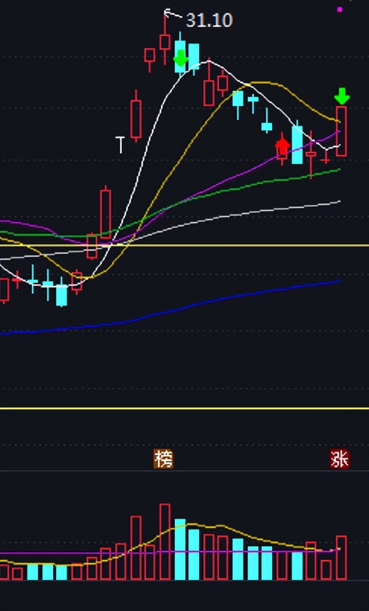 随心动含义,随心意交易软件怎么样