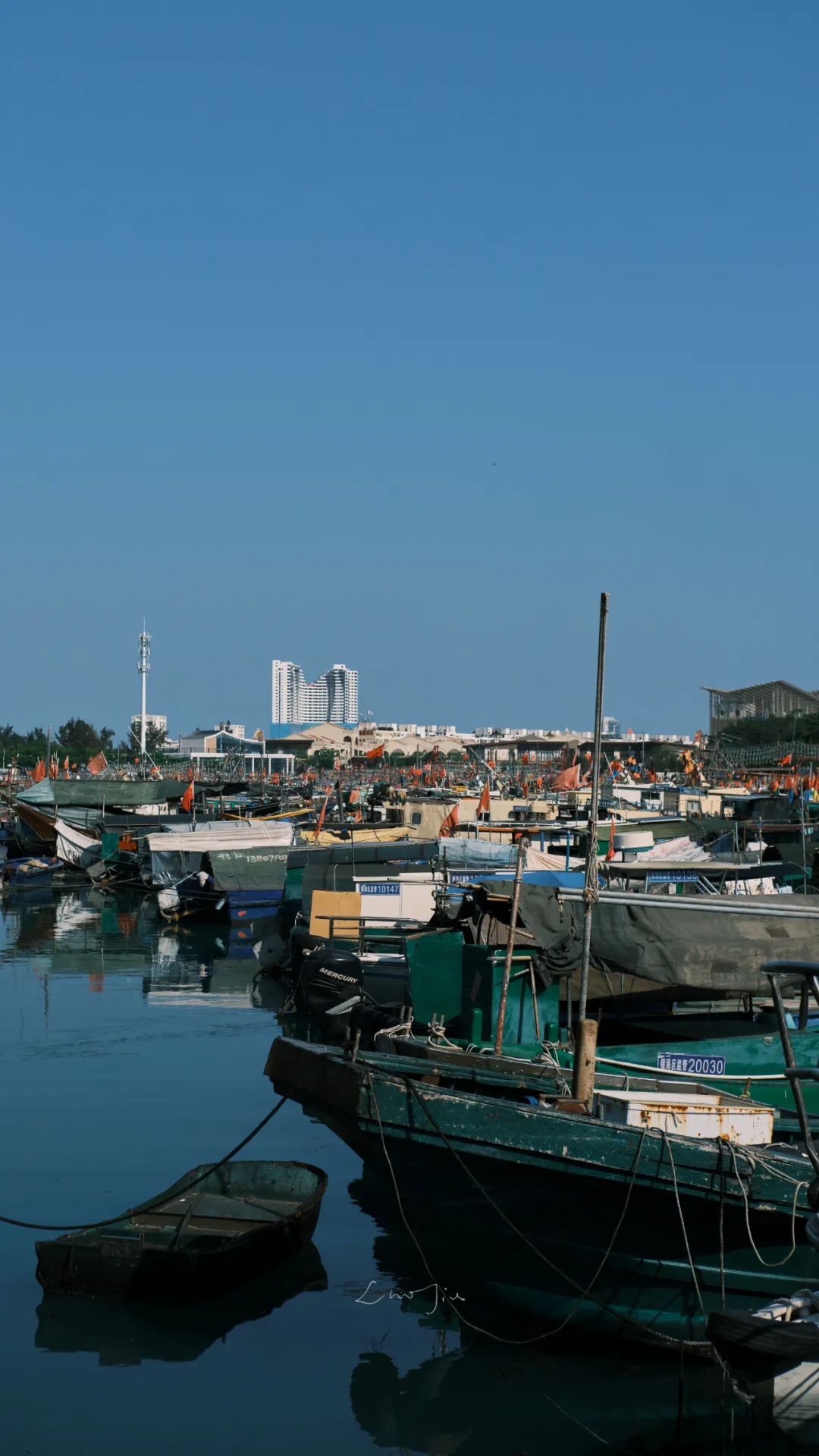 你根本没有去过侨港