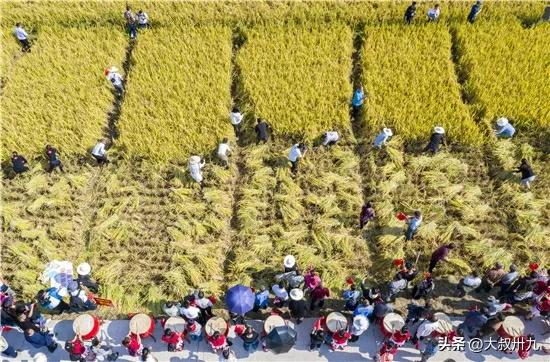 如何利用ai盈利模式赚钱的方法,ai人工智能风口在哪