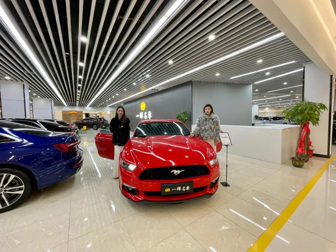 杞﹀晢璁胯皥,杞﹀晢璁胯皥瑙嗛澶у叏