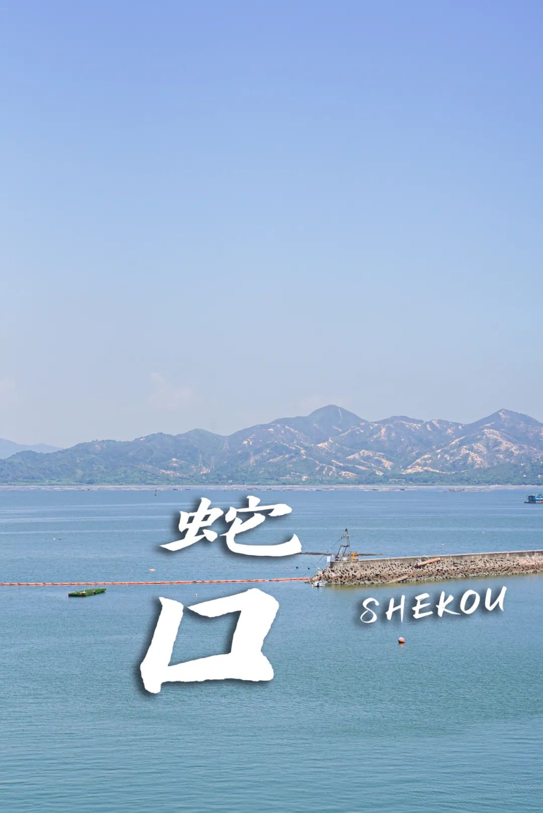 千万不要来深圳打工,深圳蛇口打工人的生活