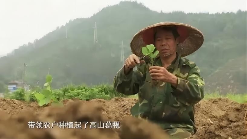 最美村官为百姓谋幸福,大学生村官为了脱贫卖掉婚房