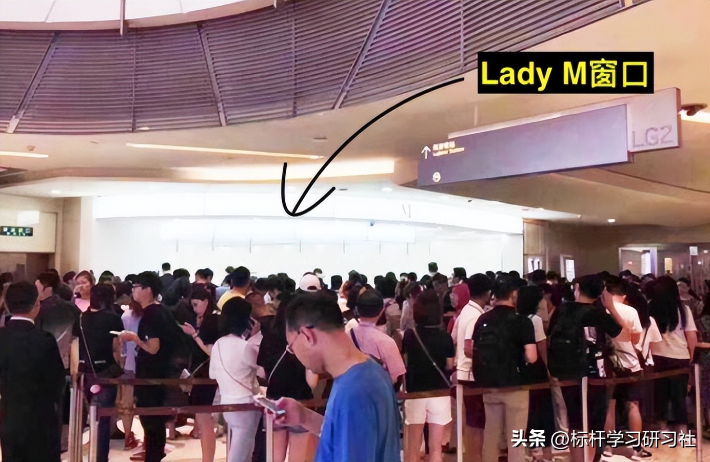 中国网红作死事件,最作死网红