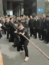 老鼠贴粘到鸟违法吗,老鼠贴能粘住死人吗