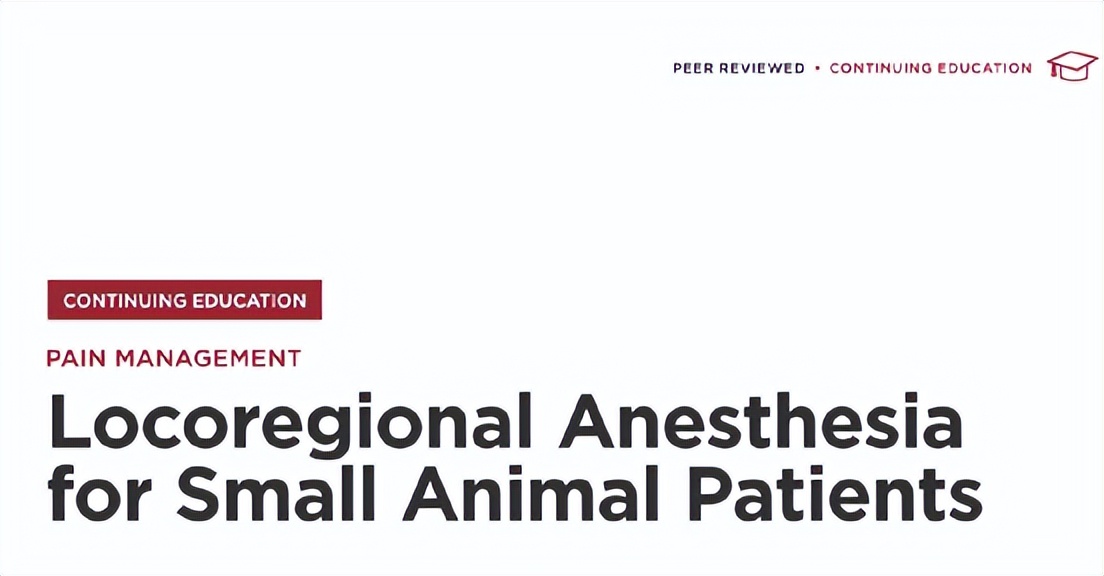 小动物的手术麻醉,小动物注射麻醉常用药