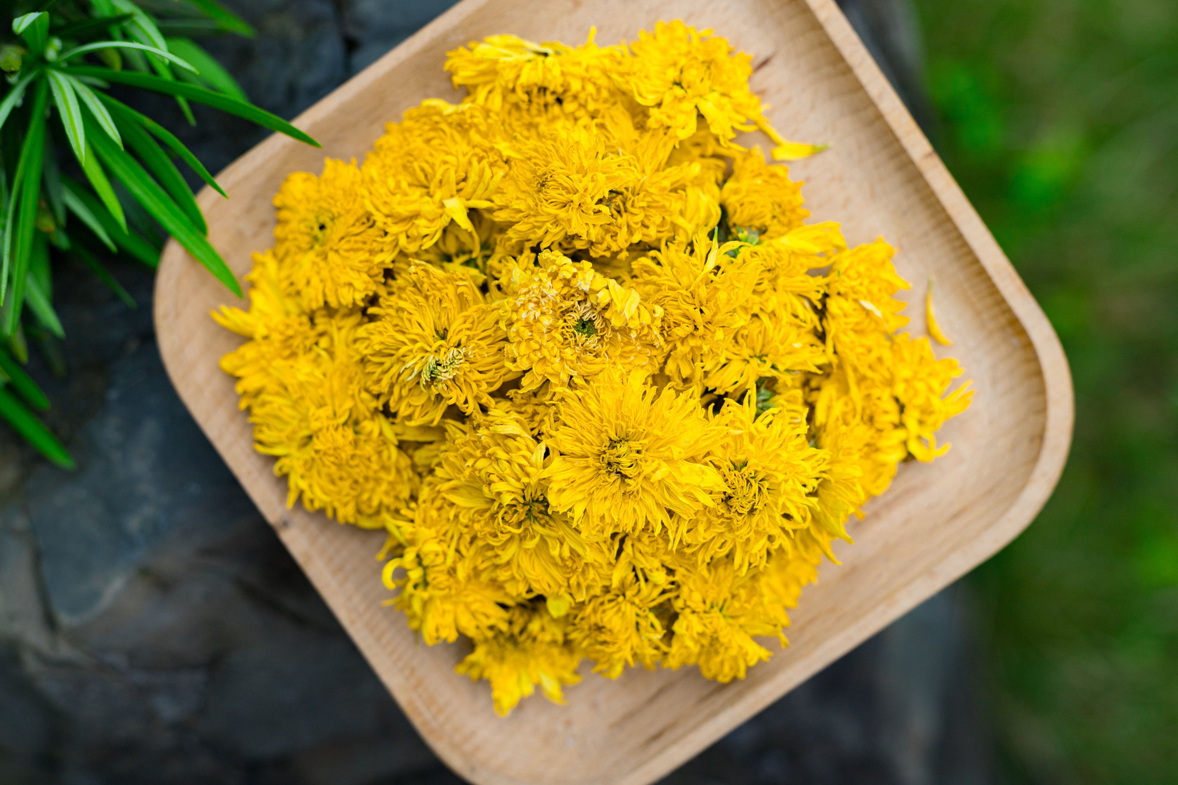 端午时节有什么好茶,端午茶什么茶叶最好
