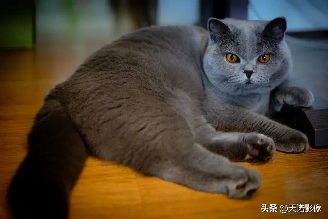 徕卡镜头到底有多牛,徕卡双a镜头怎么选择相机