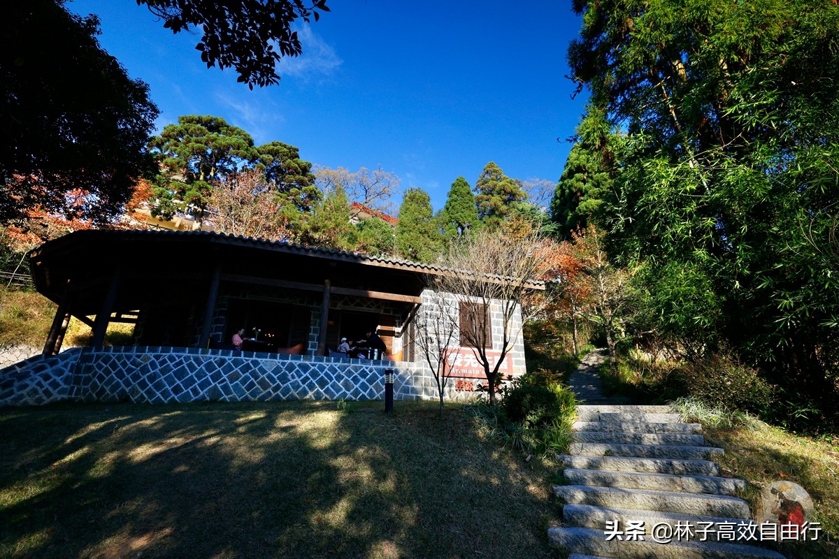 福州有哪些特色玩的,福州市区游玩攻略