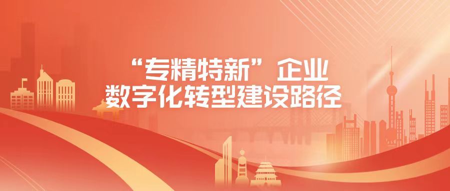 专精特新企业数字化转型试点城市,专精特新数字化转型
