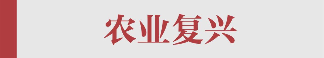 为什么喜事都要看黄历,喝白茶看黄历