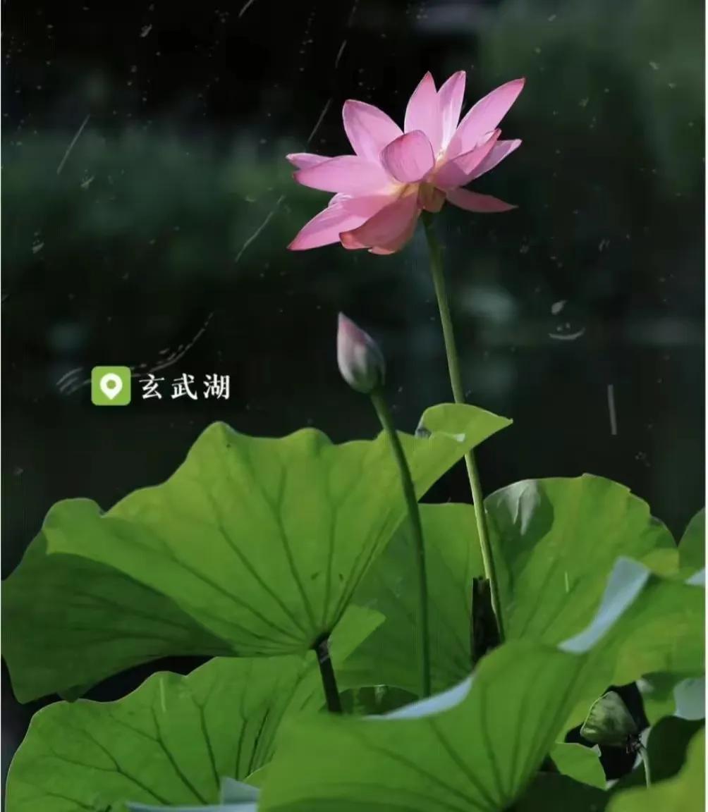 在南京旅游必须知道的90个常识,南京旅游最全攻略超实用