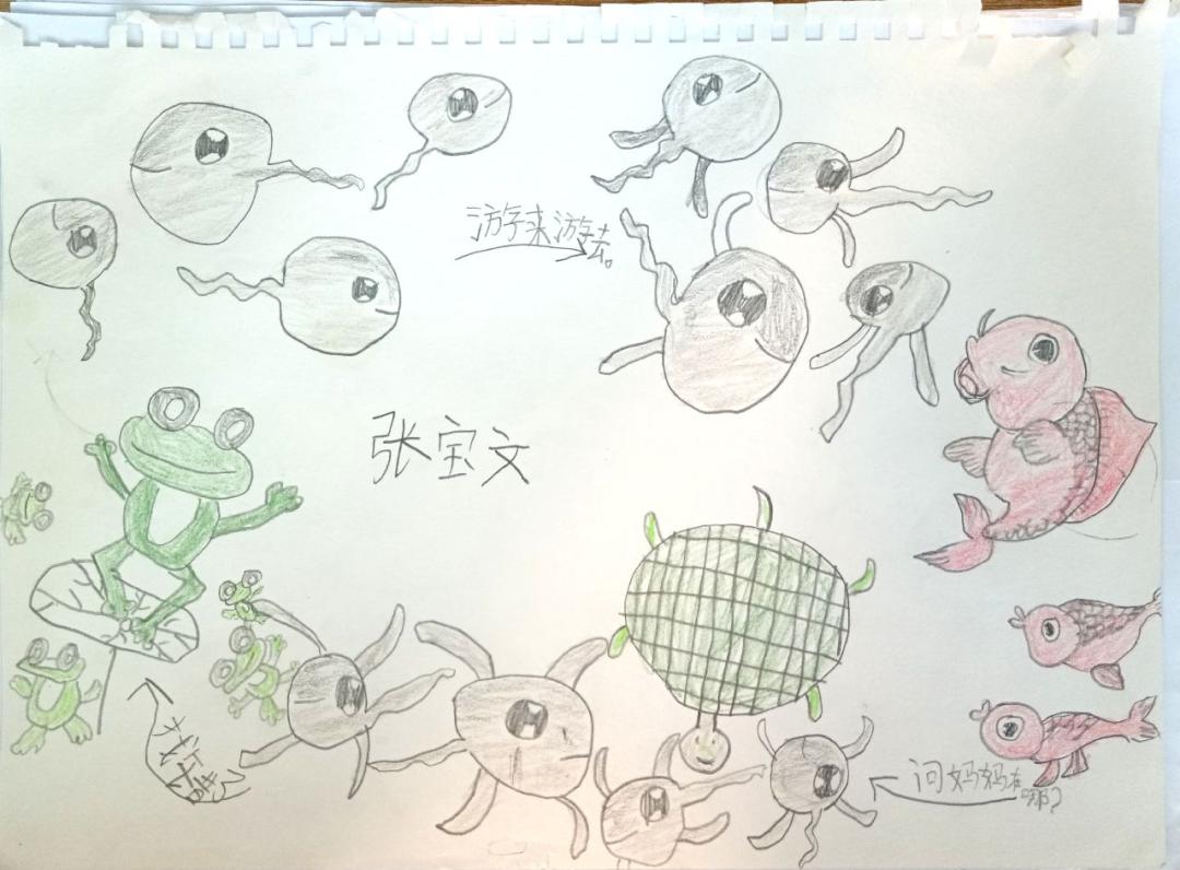 双减优秀案例从哪几个方面写,双减作业案例获奖范文