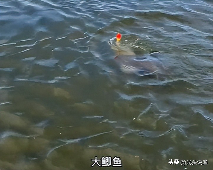 邓刚盘老板合集,邓刚盘老板的视频