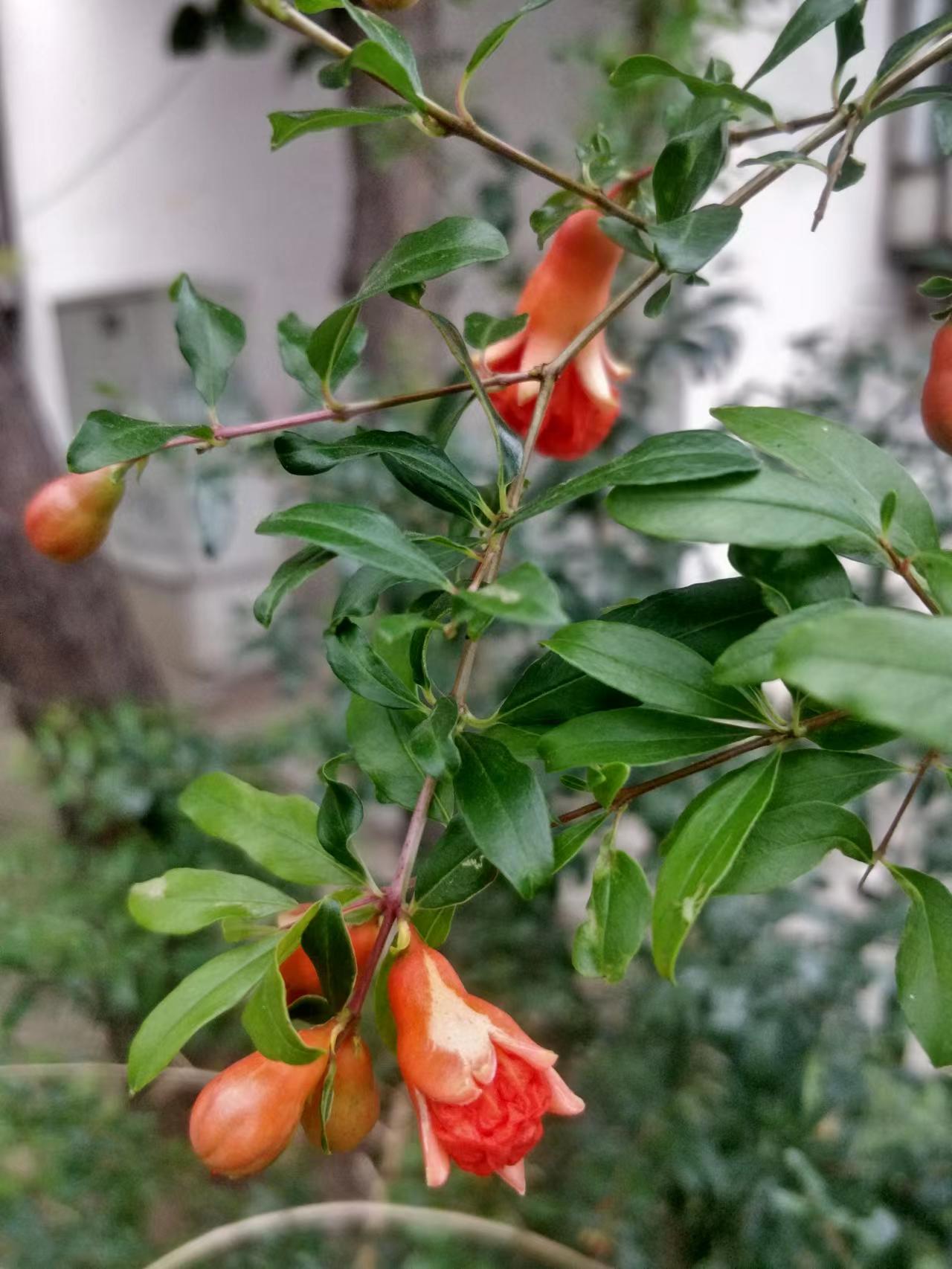 维修伤感文案,让人无语的维修