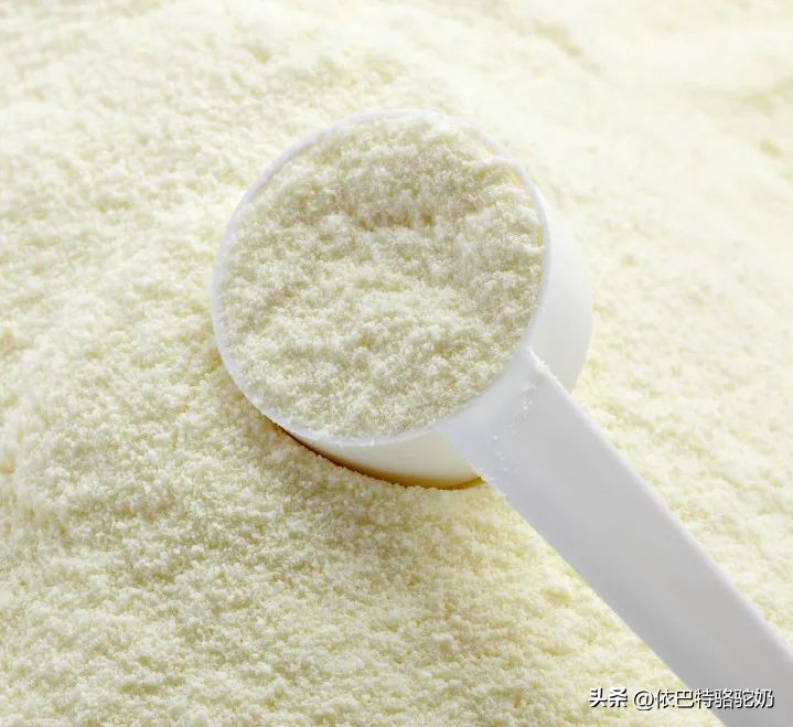 依巴特纯驼奶粉怎么样,依巴特驼奶粉是正宗驼奶吗