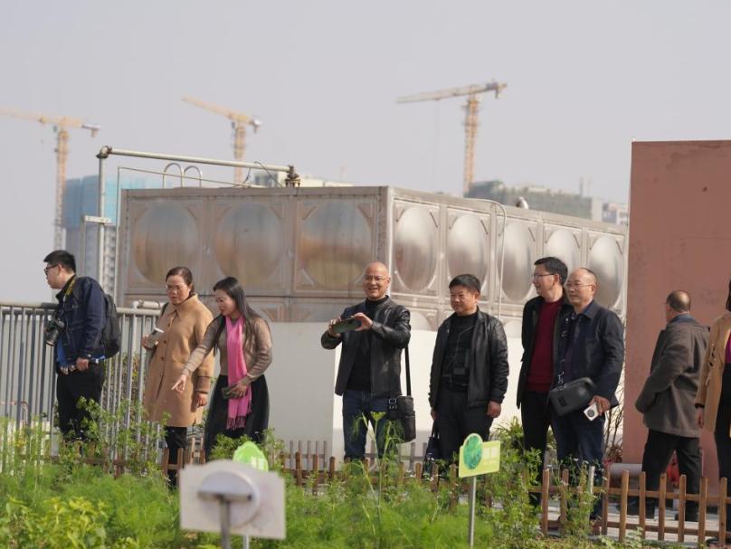 高新区中和行知小学,成都高新区中和小学好不好