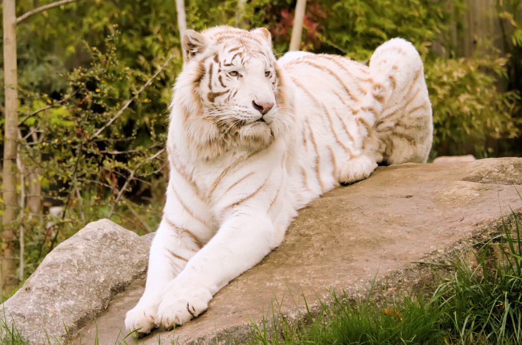 为何有些人“下面”没有毛？医生做了4点分析，男女都了解一下