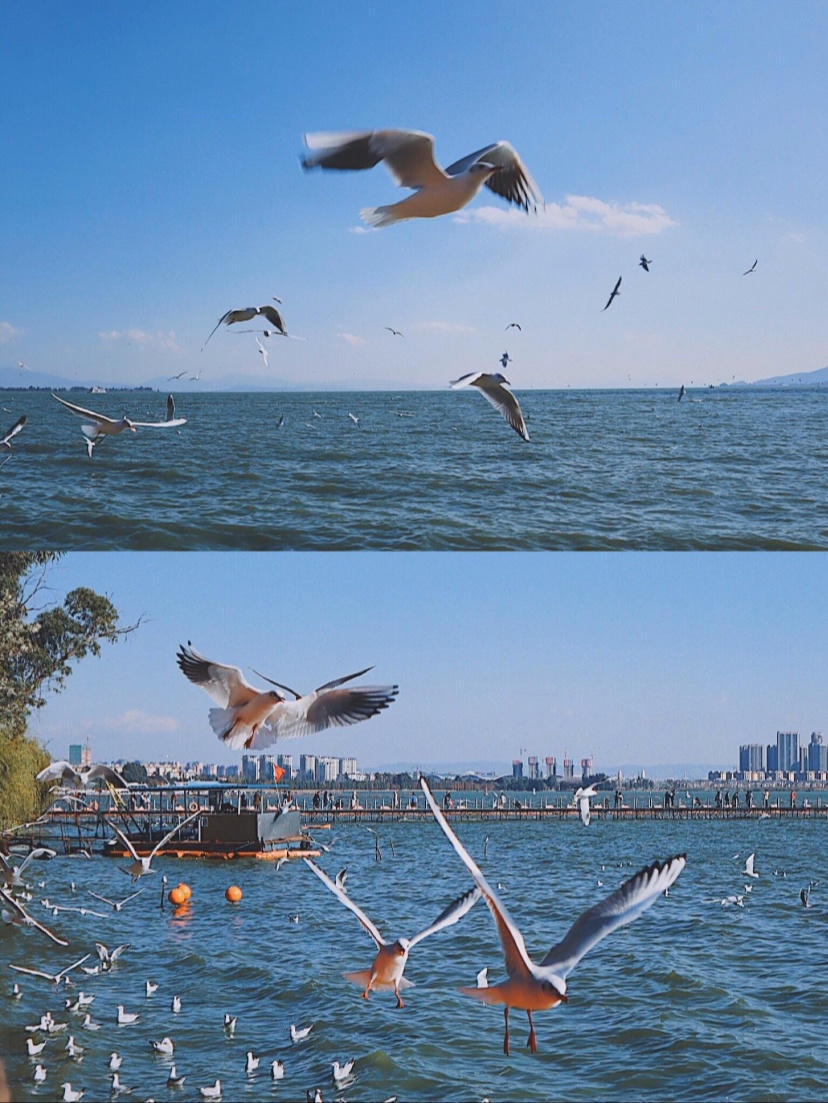 暑假去云南旅游攻略自由行7天,暑假去云南旅游攻略自由行路线