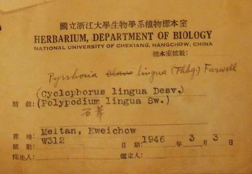 浙大博物馆十大镇馆之宝,浙大考古与艺术博物馆