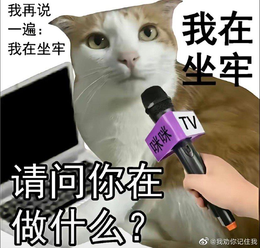 打工人的辛酸文案怎么写,打工人被逼无奈的文案