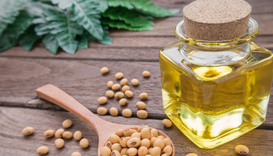 菜籽油与橄榄油成分区别,纯天然菜籽油的危害