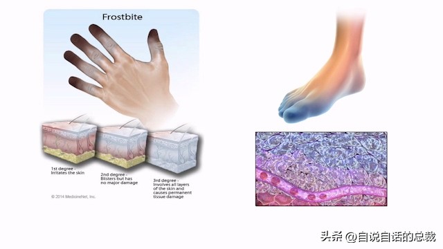 山就在那里英语,山就在那里下一句是什么