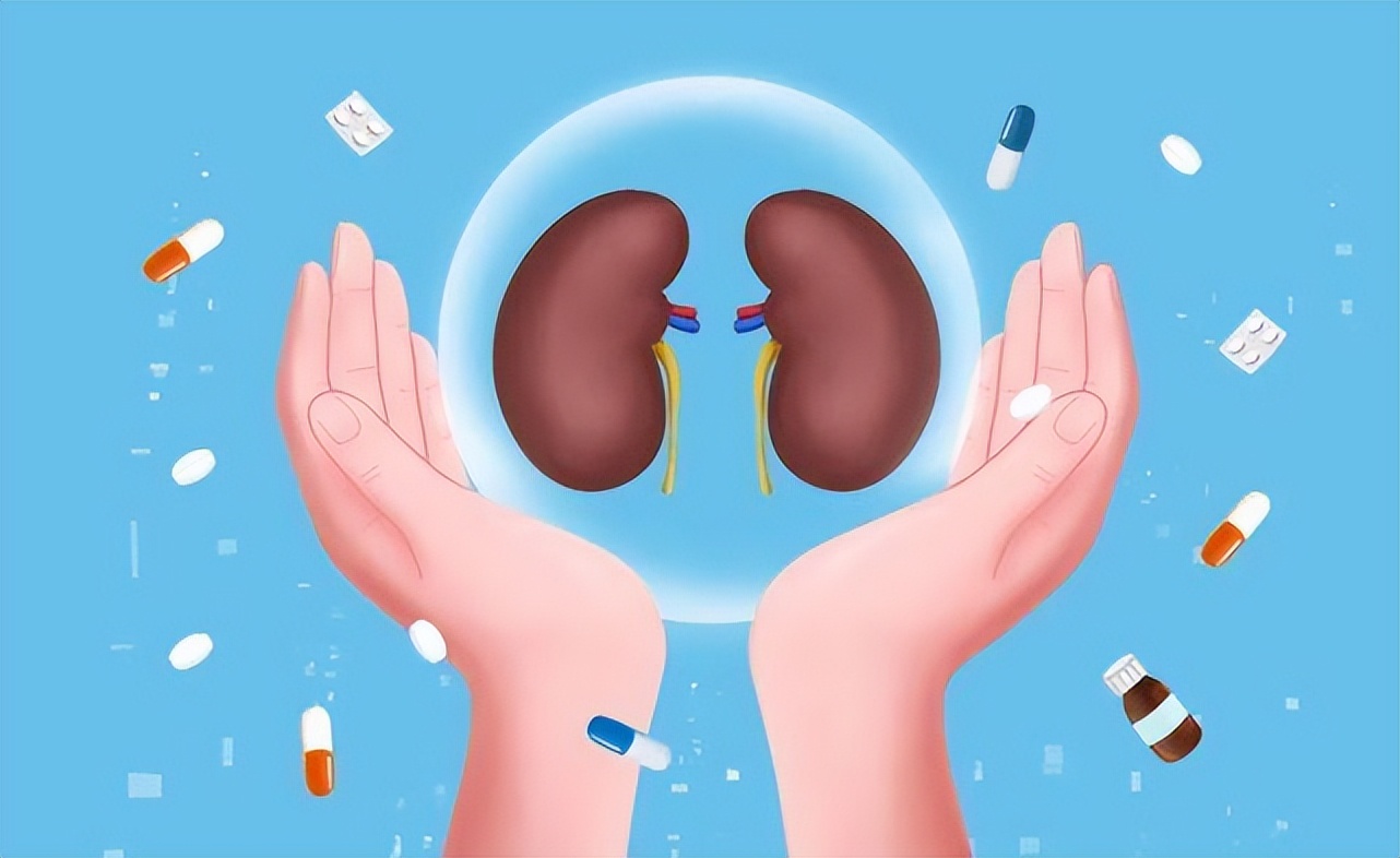 白发在后脑勺两鬓,两鬓和头顶白发后脑勺黑发